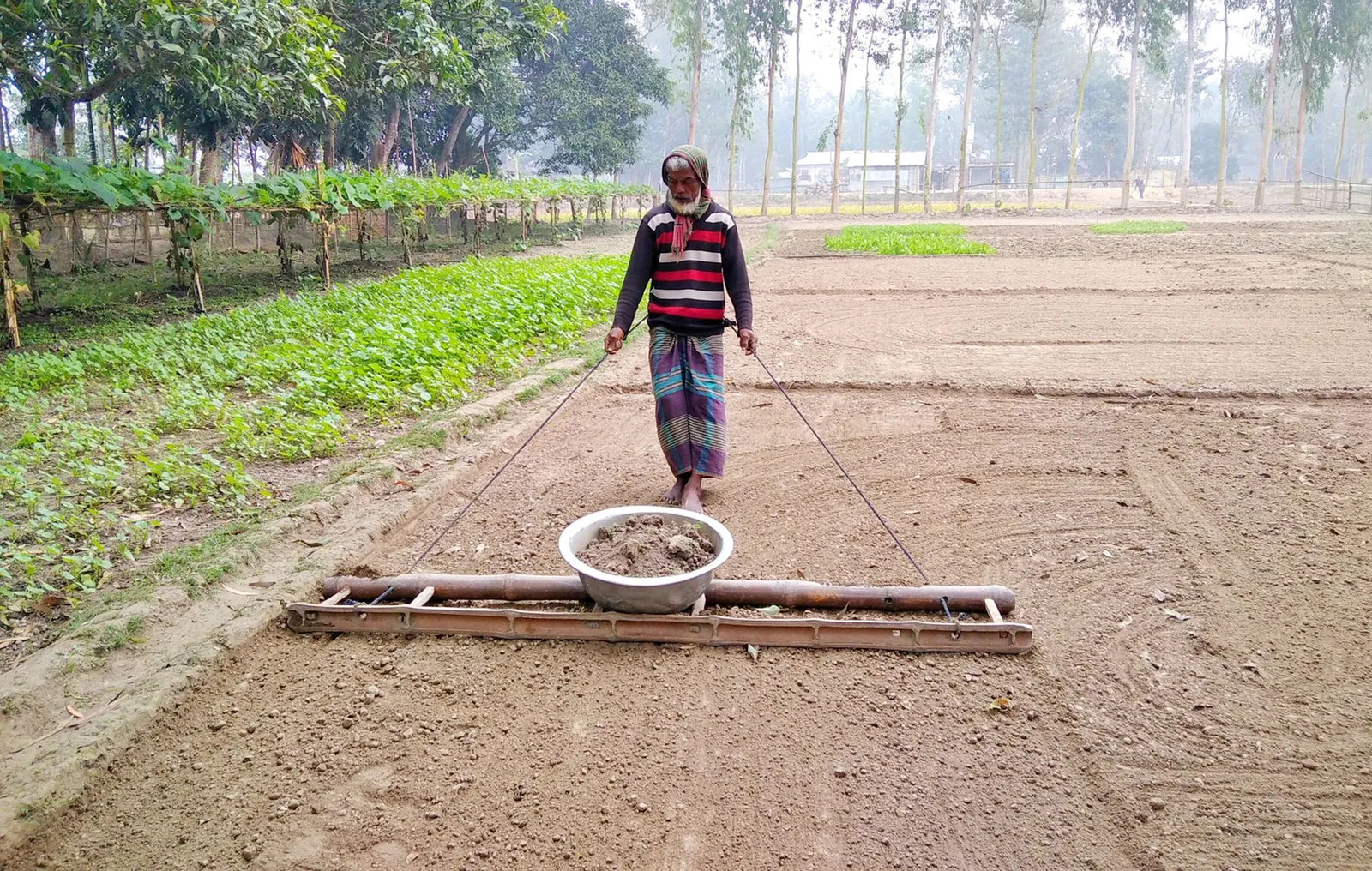 বাড়িতে বাচ্চার জন্য তৈরি করা আরামদায়ক ও শান্ত পড়ার কোণ।